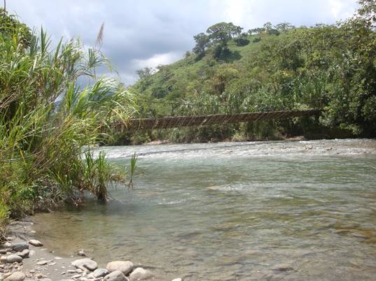Beautiful Ecuadorian jungle river and swinging bridge