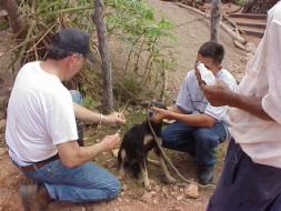 GOD AT WORK IN HONDURAS