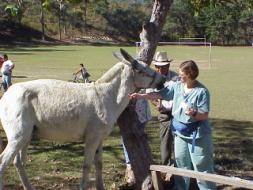 HONDURAS BAPTIST MEDICAL DENTAL MISSION