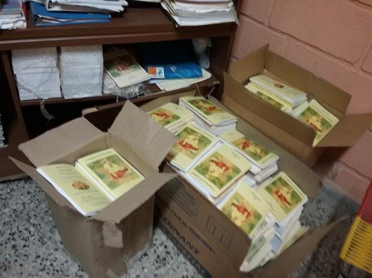 Abide in Christ training manuals for participants in churches.