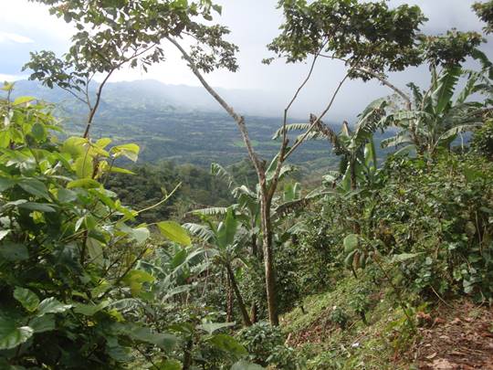 Nicaragua mountain scene