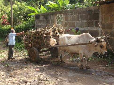oxcart Nicaragua - Abide in Christ teaches personal evangelisn in rural Nicaragua.