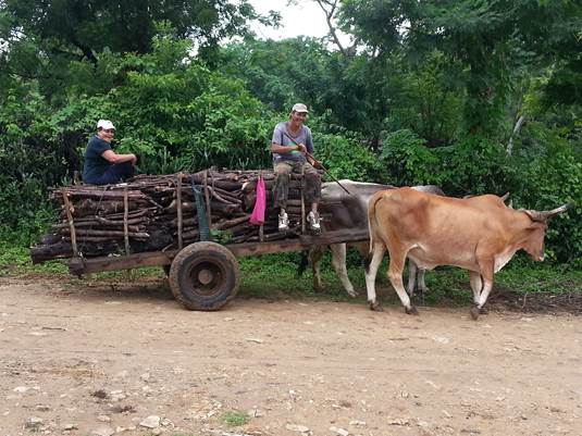 Ox cart in Nicaragua www.AbideInChristcom/missions/