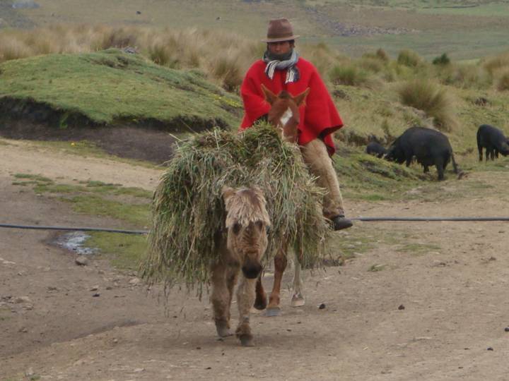 Andean community Ecuador